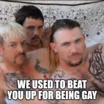 The New Gay | WE USED TO BEAT YOU UP FOR BEING GAY | image tagged in tiger king and cubs,tiger king | made w/ Imgflip meme maker
