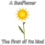 The True SunFlower | A SunFlower; The first of its kind | image tagged in legit,seems legit,bad pun,joke | made w/ Imgflip meme maker