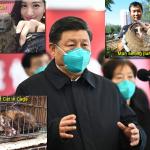 Xi Jinping - Read My Lips: No New COVID-19 Cases in China meme