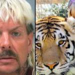 Joe exotic free