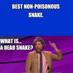 Dead snake