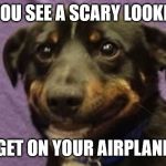 nervous dog | WHEN YOU SEE A SCARY LOOKING GUY; GET ON YOUR AIRPLANE | image tagged in nervous dog | made w/ Imgflip meme maker