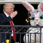 Trump & Bunny