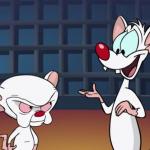 Pinky and the brain