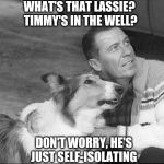 What's that Lassie? | WHAT'S THAT LASSIE?  TIMMY'S IN THE WELL? DON'T WORRY, HE'S JUST SELF-ISOLATING | image tagged in what's that lassie | made w/ Imgflip meme maker