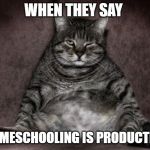 Lazy Cat | WHEN THEY SAY; HOMESCHOOLING IS PRODUCTIVE | image tagged in lazy cat | made w/ Imgflip meme maker