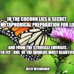 Butterfly tatoo | IN THE COCOON LIES A SECRET
A METAPHORICAL PREPARATION FOR LIFE - KELLY HITCHCOCK AND FROM THE STRUGGLE EMERGES
THE BUTTER FLY - ONE  OF THE | image tagged in butterfly tatoo | made w/ Imgflip meme maker