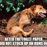 mimi | AFTER THE TOILET PAPER I DID NOT STOCK UP ON RUNS OUT | image tagged in mimi | made w/ Imgflip meme maker