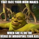 shreck | THAT FACE YOUR MOM MAKES; WHEN SHE IS ON THE VERGE OF WHOOPING YOUR ASS | image tagged in shreck | made w/ Imgflip meme maker