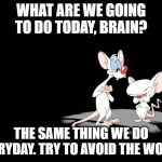Pinky And The Brain | WHAT ARE WE GOING TO DO TODAY, BRAIN? THE SAME THING WE DO EVERYDAY. TRY TO AVOID THE WORLD | image tagged in pinky and the brain | made w/ Imgflip meme maker