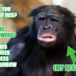 Huh? | HAVE YOU HEARD OF IRIS? LIKE THE FLOWERS? NO, IRIS THE GREEK GODDESS OF THE RAINBOW; (MY RESPONSE) | image tagged in huh | made w/ Imgflip meme maker