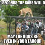 Lion cage people | IN 10 SECONDS THE BARS WILL DROP; MAY THE ODDS BE EVER IN YOUR FAVOUR | image tagged in lion cage people | made w/ Imgflip meme maker