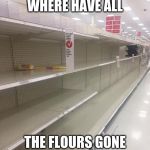 Where have all the flours gone? | WHERE HAVE ALL; THE FLOURS GONE | image tagged in coronavirus,flour,shelves,empty | made w/ Imgflip meme maker