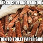 Retro TP | NEBRASKA GOVERNOR ANNOUNCES; SOLUTION TO TOILET PAPER SHORTAGE | image tagged in retro tp | made w/ Imgflip meme maker