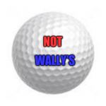 Golf ball | NOT; WALLY'S | image tagged in golf ball | made w/ Imgflip meme maker