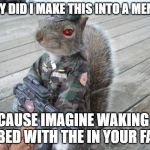Squirrels Revenge | WHY DID I MAKE THIS INTO A MEME? BECAUSE IMAGINE WAKING UP IN BED WITH THE IN YOUR FACE | image tagged in army squirrel | made w/ Imgflip meme maker