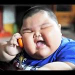 Fat kid chinese