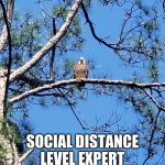 Merica! | SOCIAL DISTANCE LEVEL EXPERT | image tagged in social distance level expert,merica,covid-19 doesn't scare me,this is the way,keep back,i am watching you | made w/ Imgflip meme maker