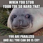 Sad Seal | WHEN YOU STUB YOUR TOE SO HARD THAT; YOU ARE PARALIZED AND ALL YOU CAN DO IS CRY | image tagged in sad seal | made w/ Imgflip meme maker