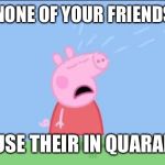 Why does (Peppa pig) | WHEN NONE OF YOUR FRIENDS COME; BECAUSE THEIR IN QUARANTINE | image tagged in why does peppa pig | made w/ Imgflip meme maker