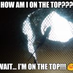 HOW AM I ON THE TOP??? WAIT... I'M ON THE TOP!!! 😄 | image tagged in meme,lizard,funny | made w/ Imgflip meme maker