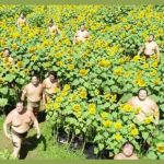 Last page reward | I SCROLLED TO THE LAST PAGE AND WAS REWARDED; WITH HAPPY SUMO WRESTLERS IN A SUNFLOWER FIELD! | image tagged in last page,sumo,funny,funny memes | made w/ Imgflip meme maker