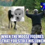 Moose Attack | WHEN THE MOOSE FIGURES OUT THAT YOU STOLE HIS LUNCH ☠️ | image tagged in moose attack | made w/ Imgflip meme maker