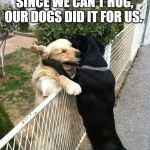 Hugs | SINCE WE CAN'T HUG, OUR DOGS DID IT FOR US. | image tagged in hugs | made w/ Imgflip meme maker
