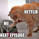 Force feed cat | NETFLIX; ME; NEXT EPISODE | image tagged in force feed cat | made w/ Imgflip meme maker