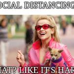 Legally blonde | SOCIAL DISTANCING... WHAT? LIKE IT'S HARD? | image tagged in legally blonde | made w/ Imgflip meme maker