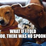 Amber Whisper | WHAT IF I TOLD YOU, THERE WAS NO SPOON? | image tagged in amber whisper | made w/ Imgflip meme maker