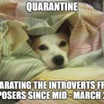 Dog hiding under a blanket | QUARANTINE; SEPARATING THE INTROVERTS FROM THE POSERS SINCE MID - MARCH 2020 | image tagged in dog hiding under a blanket | made w/ Imgflip meme maker