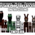 poop stuck on the ceiling | THEY SAID POOP CAN'T GET STUCK
ON THE CEILING; THEY LIED | image tagged in poop stuck on the ceiling | made w/ Imgflip meme maker