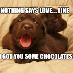 Chocolate Love | NOTHING SAYS LOVE.... LIKE; I GOT YOU SOME CHOCOLATES | image tagged in chocolates | made w/ Imgflip meme maker
