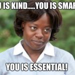 the help | YOU IS KIND.....YOU IS SMART.... YOU IS ESSENTIAL! | image tagged in the help | made w/ Imgflip meme maker