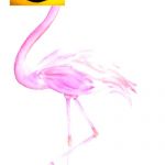 Flamingo Roblox Hat