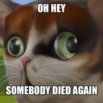 Gray Whyyyyy?!?!? | OH HEY; SOMEBODY DIED AGAIN | image tagged in spleens the cat | made w/ Imgflip meme maker