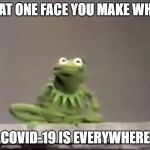 Covid-19 | THAT ONE FACE YOU MAKE WHEN; COVID-19 IS EVERYWHERE | image tagged in kermit the frog,covid-19,memes | made w/ Imgflip meme maker