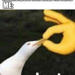 Shut Gull | WHEN MY 9 YEAR OLD SISTER STARTS TALKING ABOUT HOW GOOD TIK TOK IS; ME: | image tagged in shut gull,shut up,tik tok,sister,memes | made w/ Imgflip meme maker