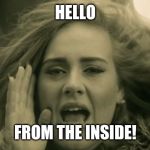 Adele Hello | HELLO; FROM THE INSIDE! | image tagged in adele hello | made w/ Imgflip meme maker