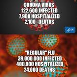 Corona vs flu