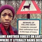 FRESH CATCH | NAME ANOTHER FOREST ON EARTH WHERE IT LITERALLY RAINS DEER | image tagged in deer me,funny,hunting season,memes,predator,rain | made w/ Imgflip meme maker