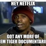 Dave Chappell | HEY NETFLIX; GOT ANY MORE OF THEM TIGER DOCUMENTARIES | image tagged in dave chappell | made w/ Imgflip meme maker