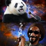 Snoop Dogg and the Panda