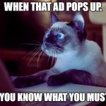 Cat on Computer | WHEN THAT AD POPS UP. AND YOU KNOW WHAT YOU MUST DO. | image tagged in cat on computer | made w/ Imgflip meme maker