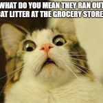 surprised cat | WHAT DO YOU MEAN THEY RAN OUT OF CAT LITTER AT THE GROCERY STORE?!?! | image tagged in surprised cat | made w/ Imgflip meme maker