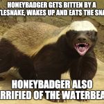 NCAD honeybadger | HONEYBADGER GETS BITTEN BY A RATTLESNAKE, WAKES UP AND EATS THE SNAKE... HONEYBADGER ALSO TERRIFIED OF THE WATERBEAR. | image tagged in ncad honeybadger | made w/ Imgflip meme maker