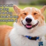 Doggo To Make Your Day | I went for a walk
Saw a dog
I smiled at dog
Dog smiled back at me
My day is complete :) | image tagged in smiling dog | made w/ Imgflip meme maker