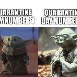 Baby Yoda Old Yoda | QUARANTINE DAY NUMBER 1; QUARANTINE DAY NUMBER 2 | image tagged in baby yoda old yoda | made w/ Imgflip meme maker