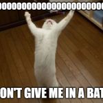 Why Why Why Funny Cat | NOOOOOOOOOOOOOOOOOOOOOOOOOOOOO; DON'T GIVE ME IN A BATH | image tagged in why why why funny cat | made w/ Imgflip meme maker